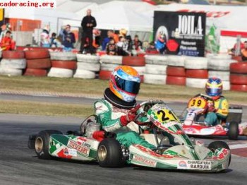Se vende kf3 tonykart/vortex 2008 barato!!!
