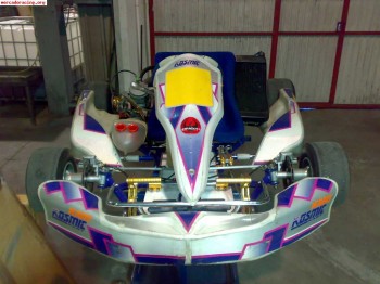 Vendo kart 125 icc impecble
