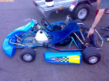 Vendo 2 karts y regalo remolque para transportarlos!!