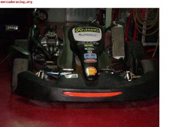 Kart 125 6 marchas con frenos delanteros 1000euros