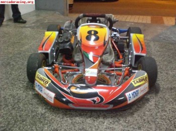 Se vende intrepid chicco alevin con motor iame puma 65cc