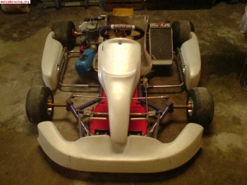 Vendo kart de competición 100cc, impecable.