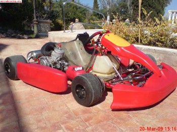 Kart icc cmp 2008 con motor tm k9c 6v 43,5cv nuevo