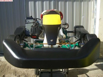 Vendo tony kart rotax max + remolque + alfano + ....