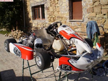 Vendo kart seminuevo 125 sgm 