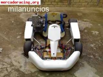 Vendo kar tecno rotax max fr