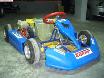Kart competicion para niño top kart comer