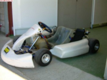 Kart gold motor sonik 125.arranque electrico.1.600 eur.se ca
