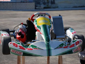 Tony kart ultimos del 2007  tmk9c  kz2
