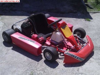 Vendo karts 100