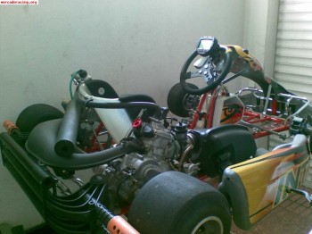  kart intrepid dd2 125 cm3 de finales del 2007 con 2 marchas