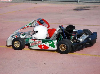 Tony kart ultimos 2007  tm k9c  y  remolque  cerrado