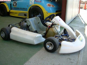 Kart gold motor sonik 125 34cv.arranque electrico. nuevo pre