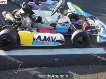 Vendo kart amv 125 del 2008