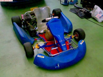 Se vende kart de 100cc del 2004 1000€