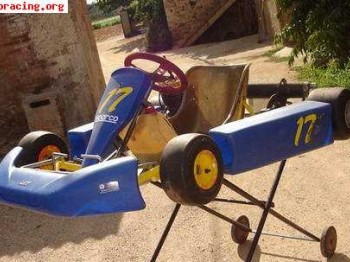 Vendo kart arisco 100cc, buen precio