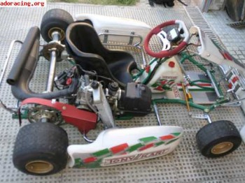 Tony kart evo r