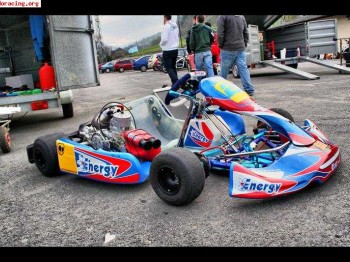 Kart kz2 energy tm  k9c