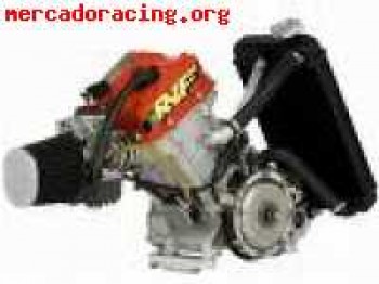 Motor swissauto 250cc 4 tiempos solo 2 horas de uso