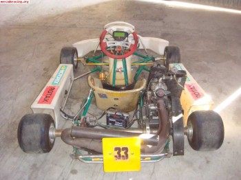 Se vende tony kart 125cc rotax max .
