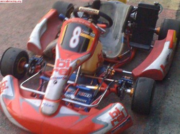 Birel icc k9b 