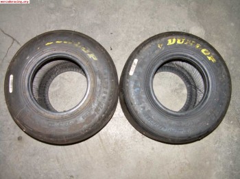 Neumaticos traseros dunlop medida 11x6.5-5.50 eur