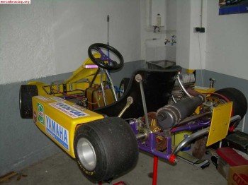 Vendo kart con crg con motor pcr inter a 100cc