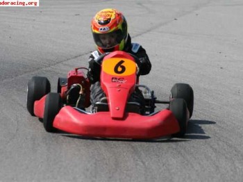 Venta kart birel 80cc