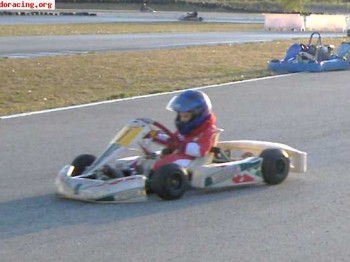 Se vende tony kart 80cc