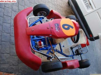 Vendo kart 80cc 