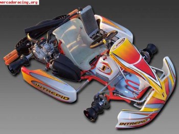Kart intrepid rotax dd2