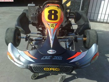 Vendo kart crg road rebel