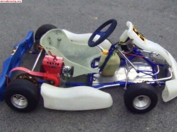 Kart alevin mba motor comer 80 cc.