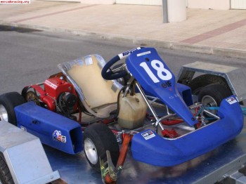 Vendo kart 125   cadete   remolque ó cambio por coche pequeñ