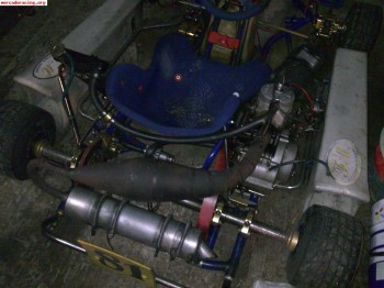 Kart gold con motor tm k9