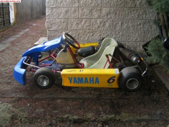 Vendo kart 100cc