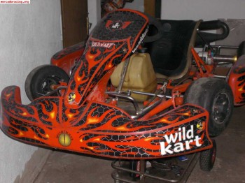 Vendo kart motor rotax