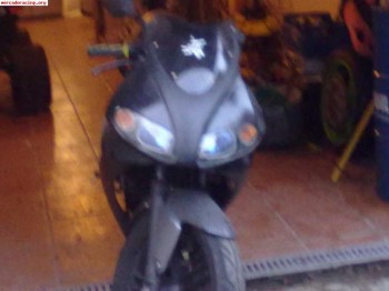 Tony kart cadete 80cc