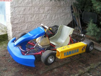 Vendo kart economico