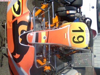 Vendo intrepid-rotax dd2