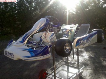 Kart nuevo a estrenar. chasis kosmos y motor a elegir.