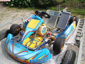 Vendo kart 125icc,cambio