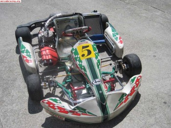 Tony kart   tm k9b 125cc 6 vel.
