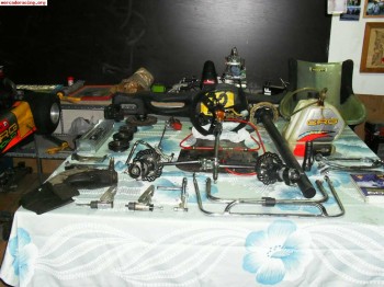 Despiece crg roal rebel