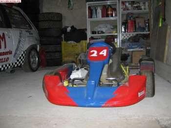 Vendo kart de 100 cc