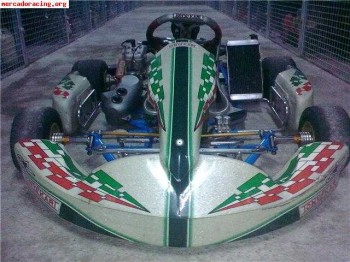 Kart tony kart chasis fernado alonso 2008   3700