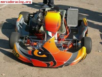 Compro kart intrepid.