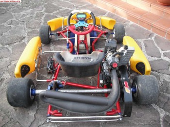 Pcr rotax max 125  06´vendo o cambio