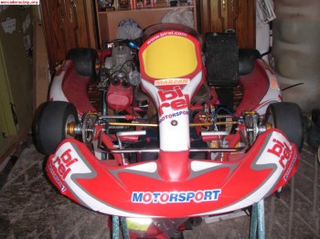 Se vende kart birel 125 6v 
