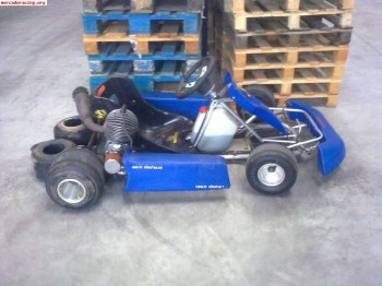 Vendo kart 100cc